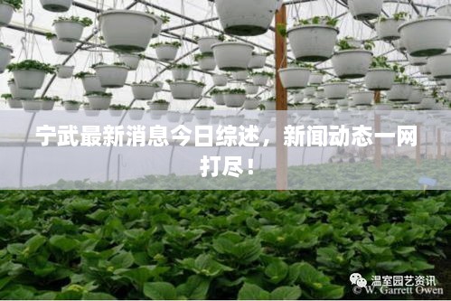 寧武最新消息今日綜述，新聞動(dòng)態(tài)一網(wǎng)打盡！