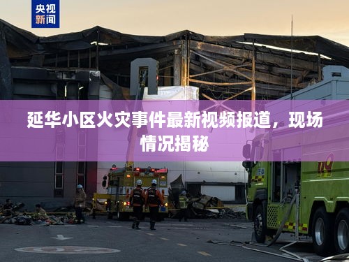 延華小區(qū)火災(zāi)事件最新視頻報道，現(xiàn)場情況揭秘