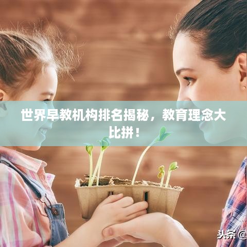 世界早教機(jī)構(gòu)排名揭秘，教育理念大比拼！