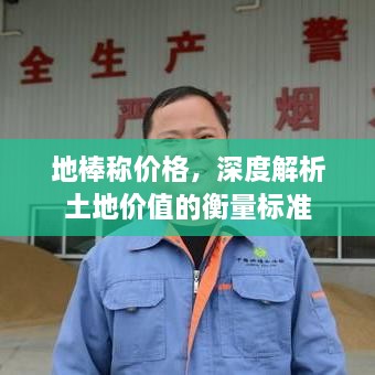地棒稱價(jià)格，深度解析土地價(jià)值的衡量標(biāo)準(zhǔn)