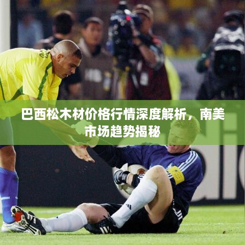 巴西松木材價格行情深度解析，南美市場趨勢揭秘