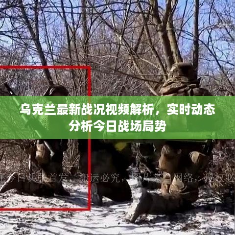 烏克蘭最新戰(zhàn)況視頻解析，實時動態(tài)分析今日戰(zhàn)場局勢