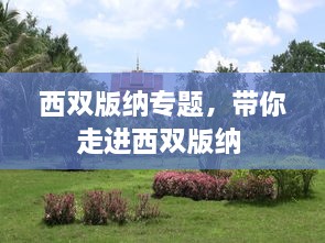 西雙版納專題，帶你走進(jìn)西雙版納 