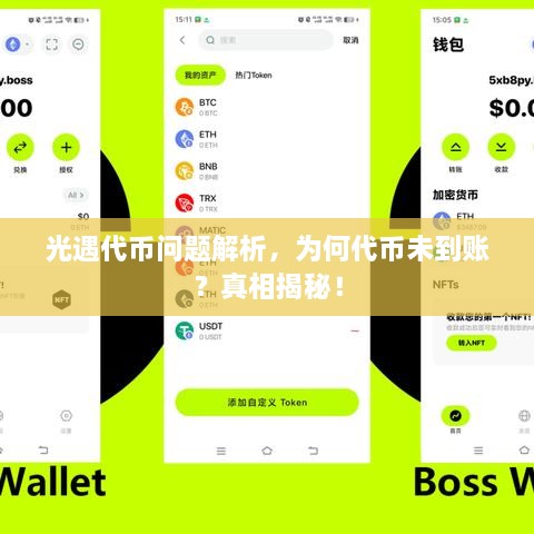 光遇代幣問題解析，為何代幣未到賬？真相揭秘！