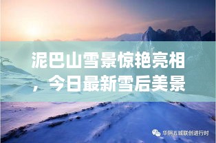 泥巴山雪景驚艷亮相，今日最新雪后美景報(bào)道！