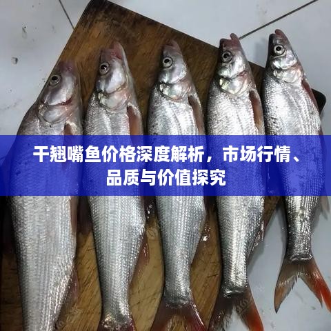 干翹嘴魚價格深度解析，市場行情、品質與價值探究