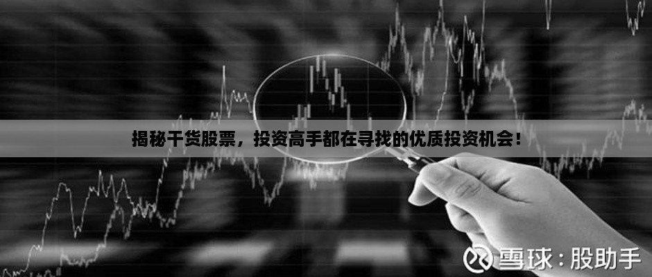 揭秘干貨股票，投資高手都在尋找的優(yōu)質(zhì)投資機會！