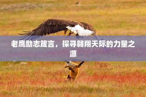 老鷹勵志箴言，探尋翱翔天際的力量之源