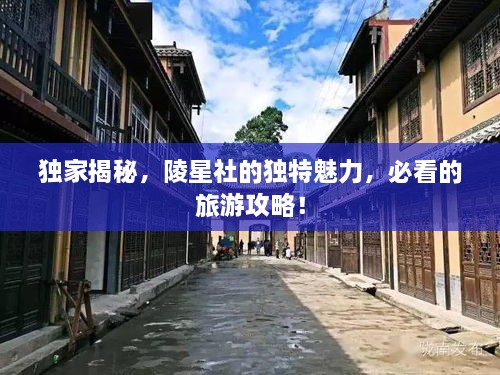 獨(dú)家揭秘，陵星社的獨(dú)特魅力，必看的旅游攻略！
