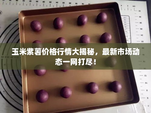玉米紫薯價(jià)格行情大揭秘，最新市場動態(tài)一網(wǎng)打盡！