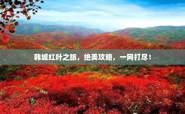 韓城紅葉之旅，絕美攻略，一網(wǎng)打盡！