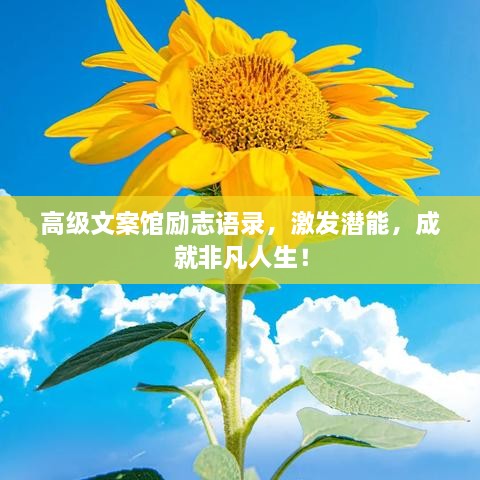 高級(jí)文案館勵(lì)志語錄，激發(fā)潛能，成就非凡人生！