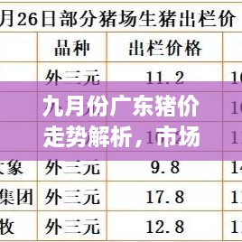 九月份廣東豬價走勢解析，市場行情、價格變動一網(wǎng)打盡