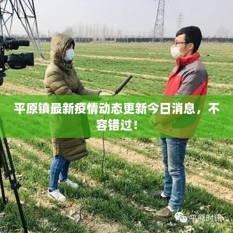 平原鎮(zhèn)最新疫情動態(tài)更新今日消息，不容錯過！