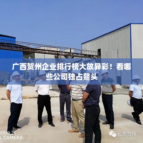 廣西賀州企業(yè)排行榜大放異彩！看哪些公司獨占鰲頭