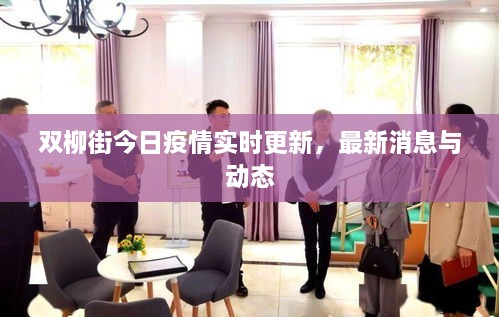 雙柳街今日疫情實(shí)時(shí)更新，最新消息與動態(tài)