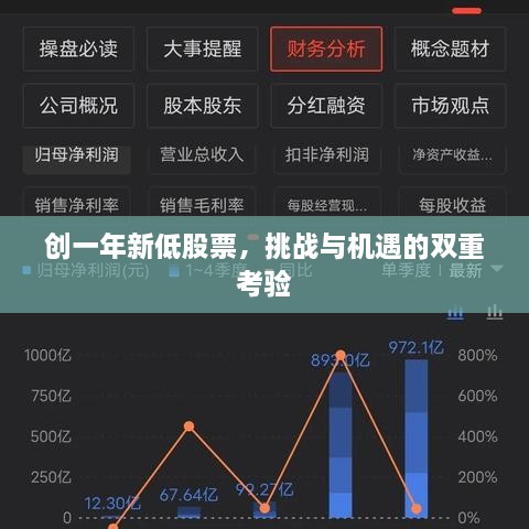 創(chuàng)一年新低股票，挑戰(zhàn)與機遇的雙重考驗