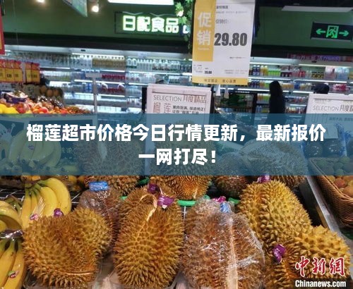 榴蓮超市價(jià)格今日行情更新，最新報(bào)價(jià)一網(wǎng)打盡！
