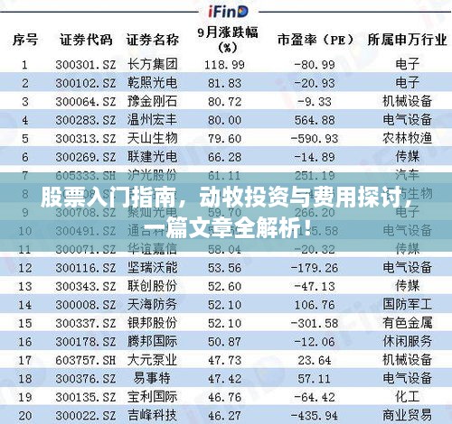 股票入門指南，動牧投資與費用探討，一篇文章全解析！