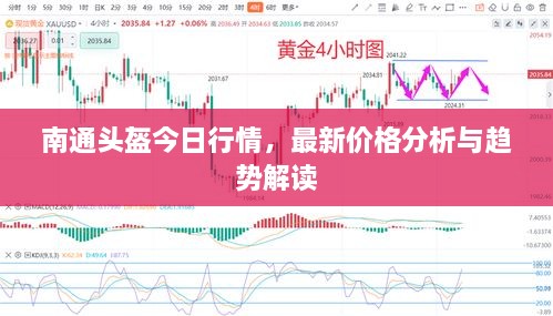 南通頭盔今日行情，最新價(jià)格分析與趨勢(shì)解讀