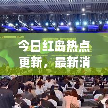 今日紅島熱點(diǎn)更新，最新消息一覽
