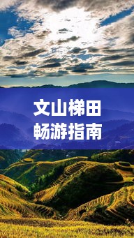 產(chǎn)品展示 第72頁(yè)