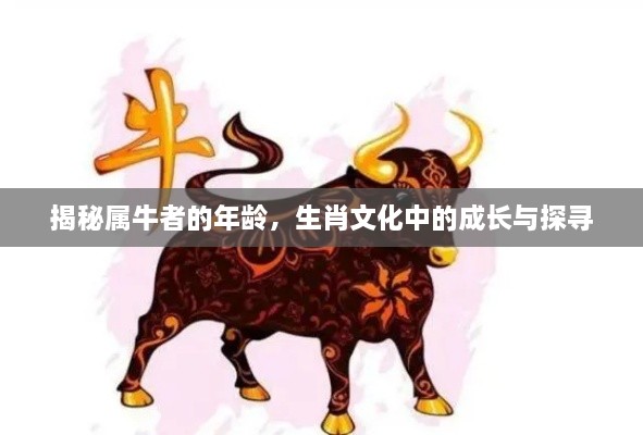 揭秘屬牛者的年齡，生肖文化中的成長(zhǎng)與探尋