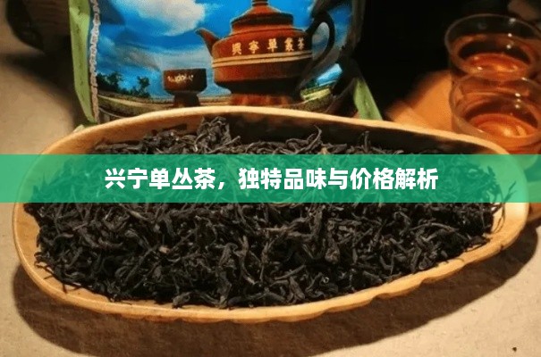興寧單叢茶，獨特品味與價格解析