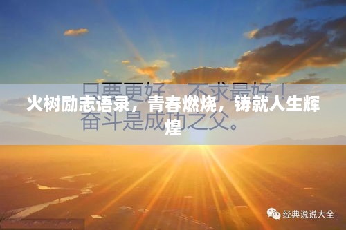 火樹勵志語錄，青春燃燒，鑄就人生輝煌