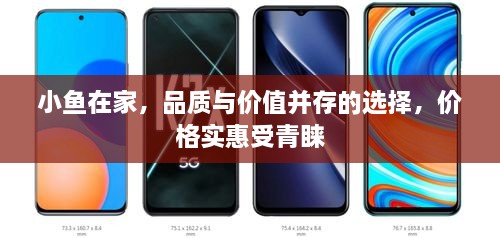 小魚在家，品質(zhì)與價(jià)值并存的選擇，價(jià)格實(shí)惠受青睞