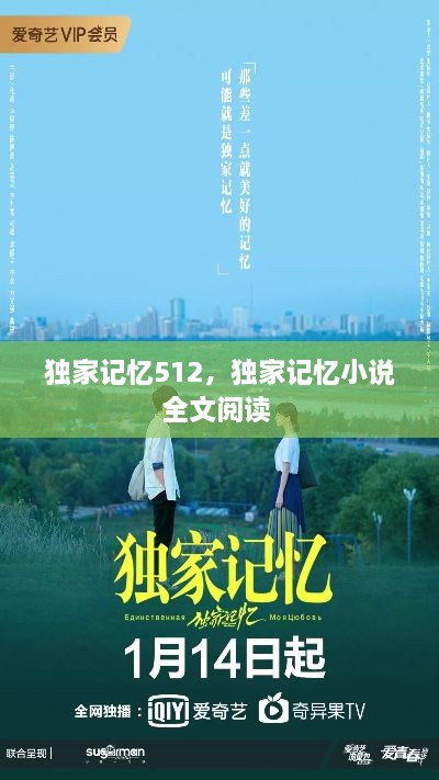 獨(dú)家記憶512，獨(dú)家記憶小說全文閱讀 