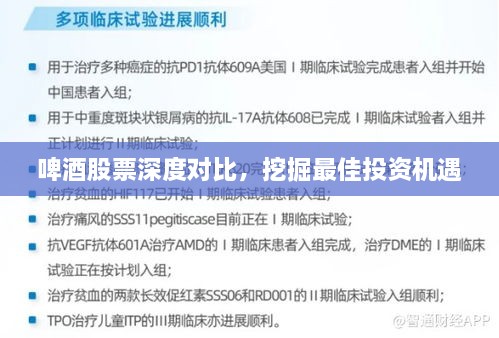 啤酒股票深度對(duì)比，挖掘最佳投資機(jī)遇