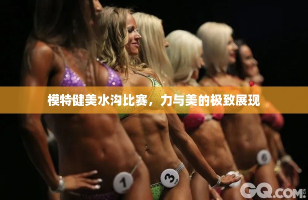 模特健美水溝比賽，力與美的極致展現(xiàn)