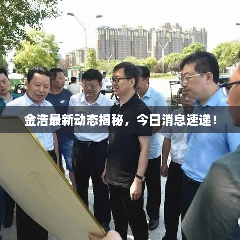 金浩最新動(dòng)態(tài)揭秘，今日消息速遞！