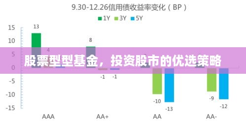 股票型型基金，投資股市的優(yōu)選策略