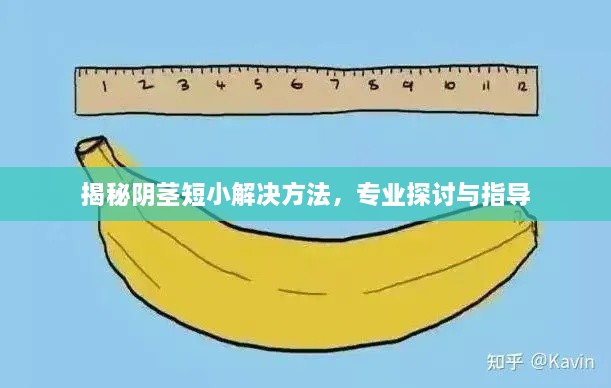揭秘陰莖短小解決方法，專業(yè)探討與指導(dǎo)