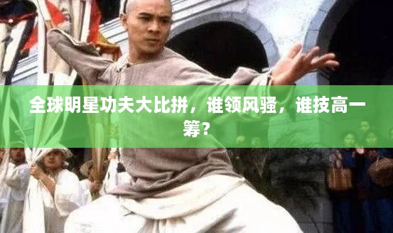 全球明星功夫大比拼，誰(shuí)領(lǐng)風(fēng)騷，誰(shuí)技高一籌？