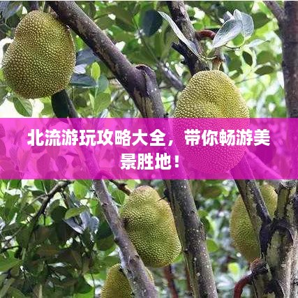 北流游玩攻略大全，帶你暢游美景勝地！