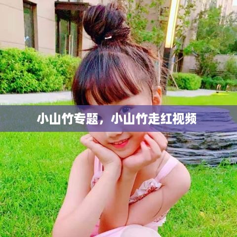 小山竹專題，小山竹走紅視頻 