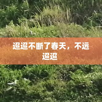 迢迢不斷了春天，不遠(yuǎn)迢迢 
