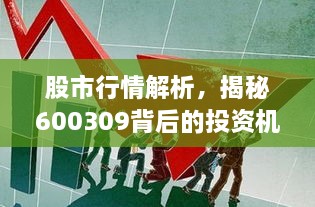 股市行情解析，揭秘600309背后的投資機(jī)會與挑戰(zhàn)