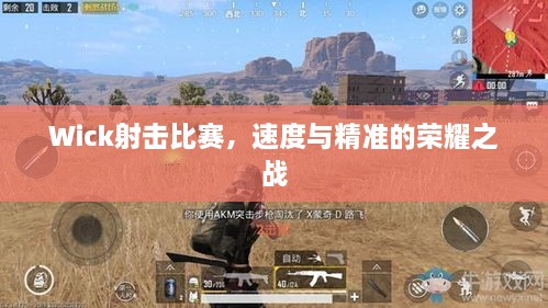 Wick射擊比賽，速度與精準的榮耀之戰(zhàn)
