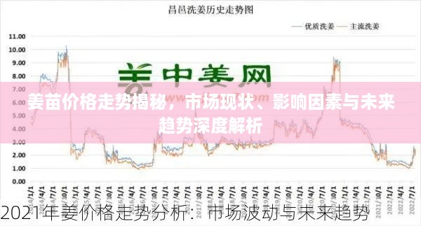 姜苗價格走勢揭秘，市場現(xiàn)狀、影響因素與未來趨勢深度解析
