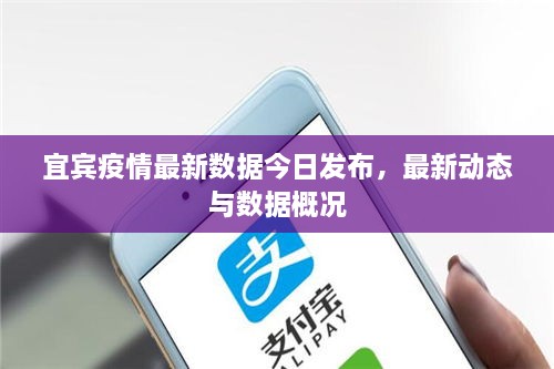 宜賓疫情最新數(shù)據(jù)今日發(fā)布，最新動態(tài)與數(shù)據(jù)概況