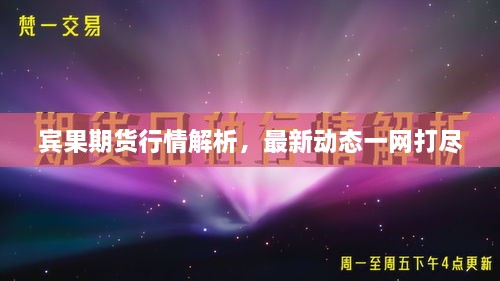 賓果期貨行情解析，最新動(dòng)態(tài)一網(wǎng)打盡