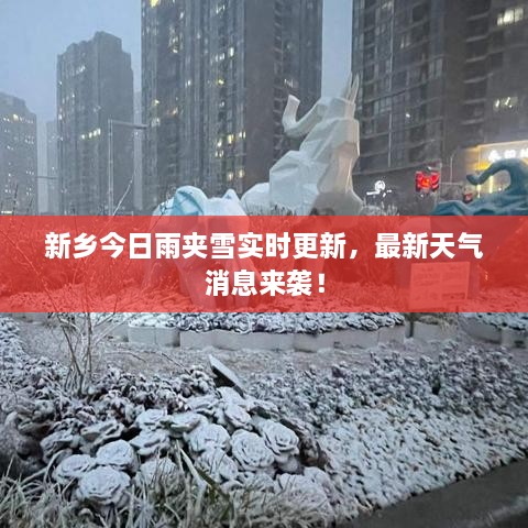 新鄉(xiāng)今日雨夾雪實(shí)時(shí)更新，最新天氣消息來襲！