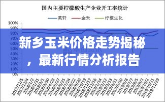 新鄉(xiāng)玉米價格走勢揭秘，最新行情分析報告