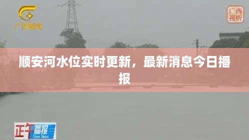 順安河水位實時更新，最新消息今日播報