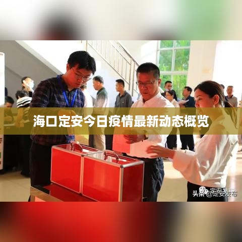 ?？诙ò步袢找咔樽钚聞?dòng)態(tài)概覽