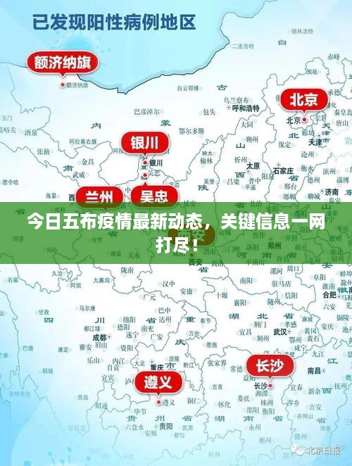 今日五布疫情最新動(dòng)態(tài)，關(guān)鍵信息一網(wǎng)打盡！